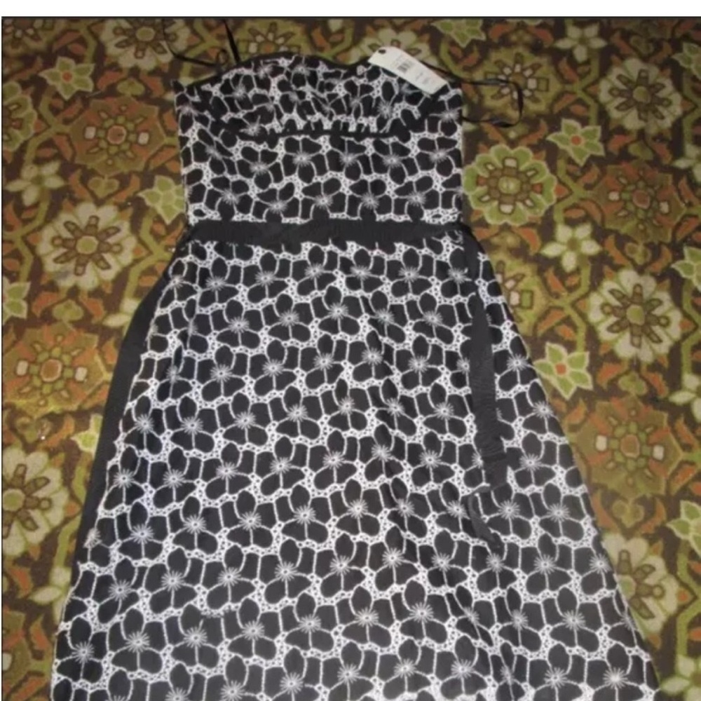 BCBG Vintage Eyelet Dress Size 0 NWT Gorgeous Fashionable Style Dress Up Look